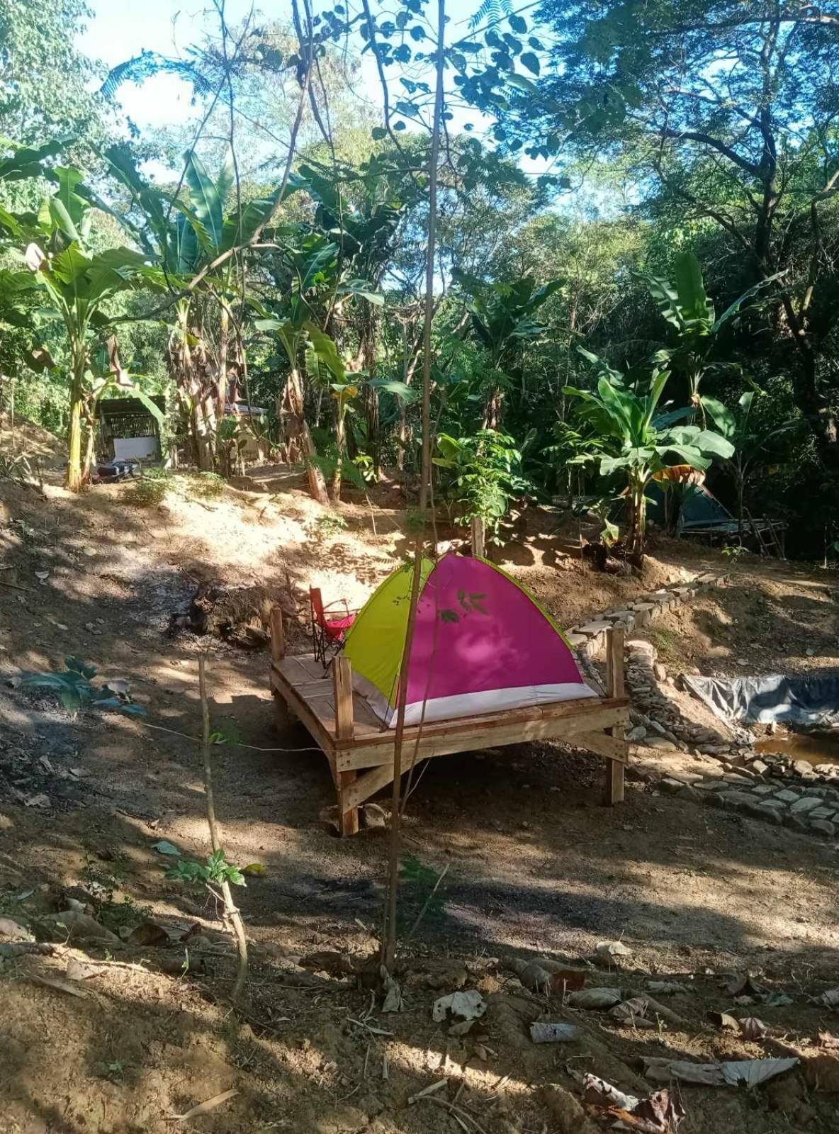 Camping Ground @ Eastdee Lidlidda Exteriör bild